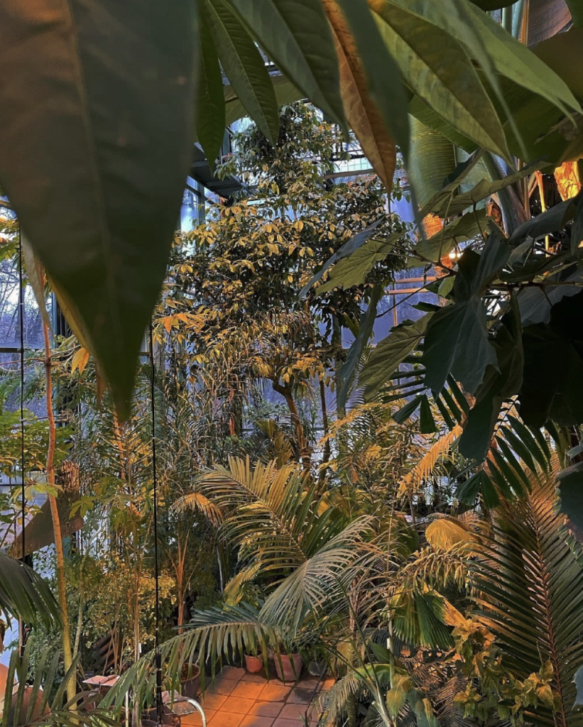 Снимок экрана 2026-01-07 в 16.39.46.png